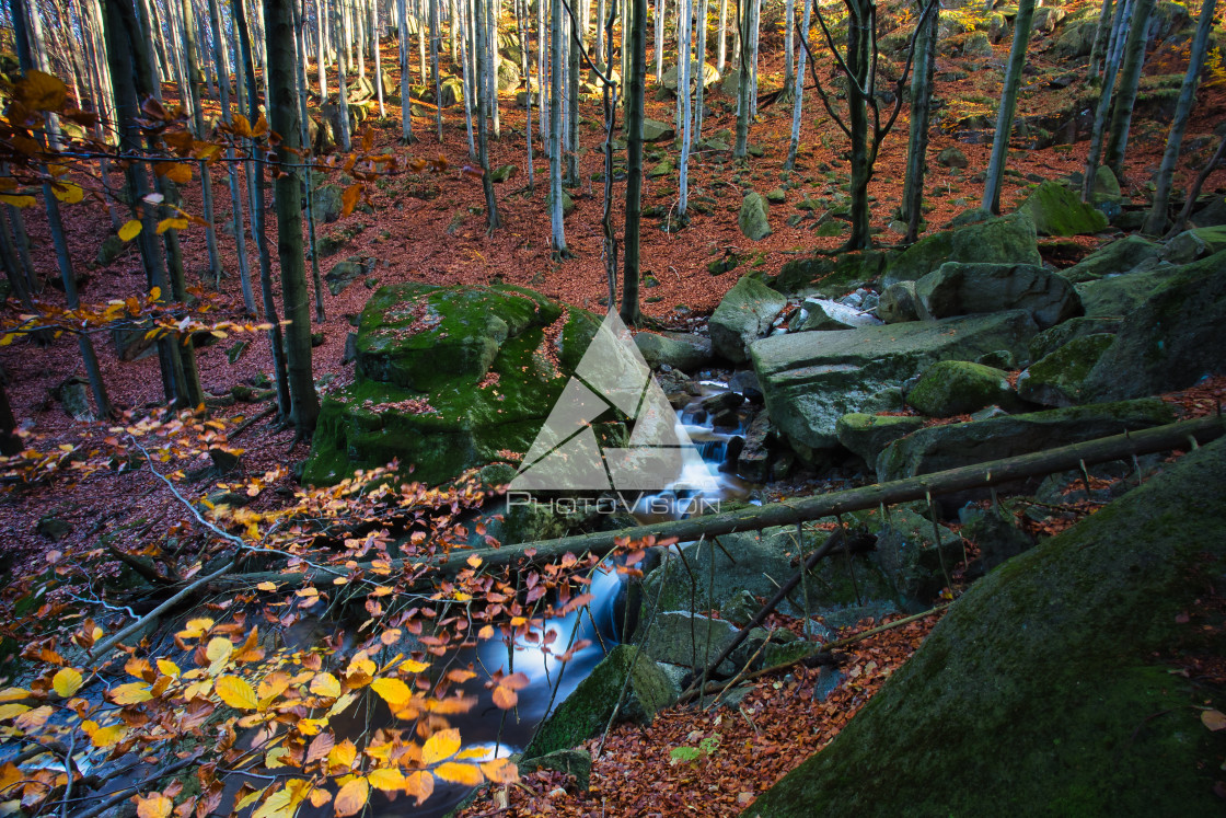 "Waterfalls on the creek" stock image