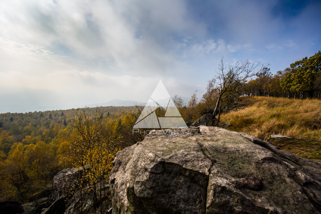 "Autumn foggy landscape" stock image