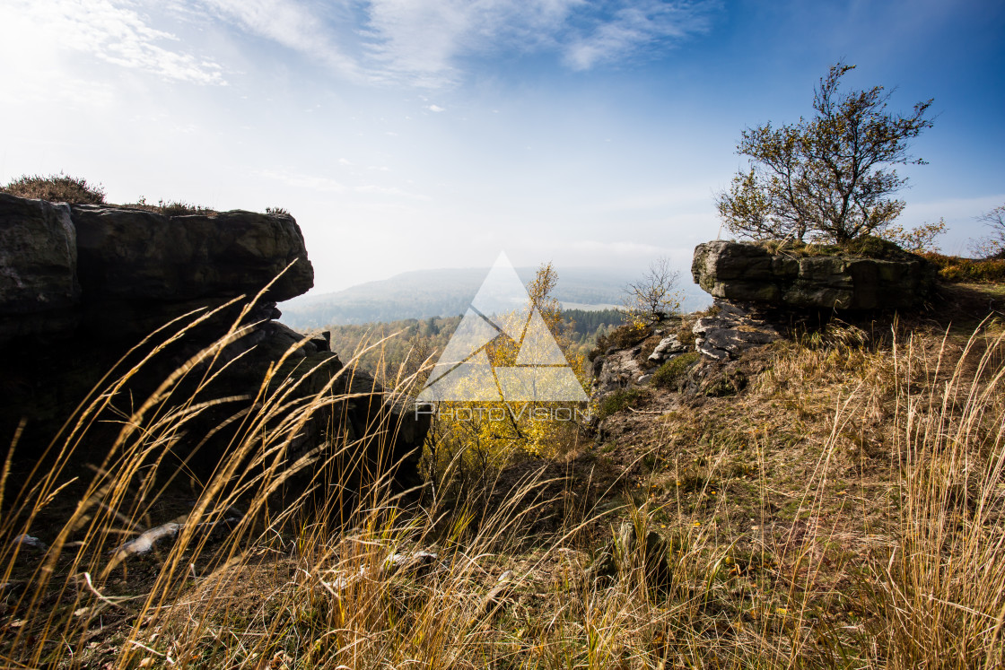 "Autumn foggy landscape" stock image