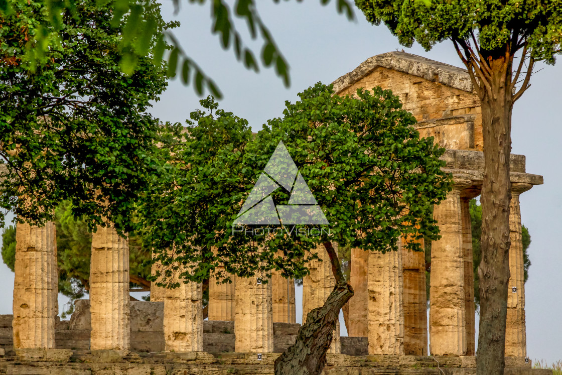 "Ruin of a Greek temple at Paestum Italy" stock image