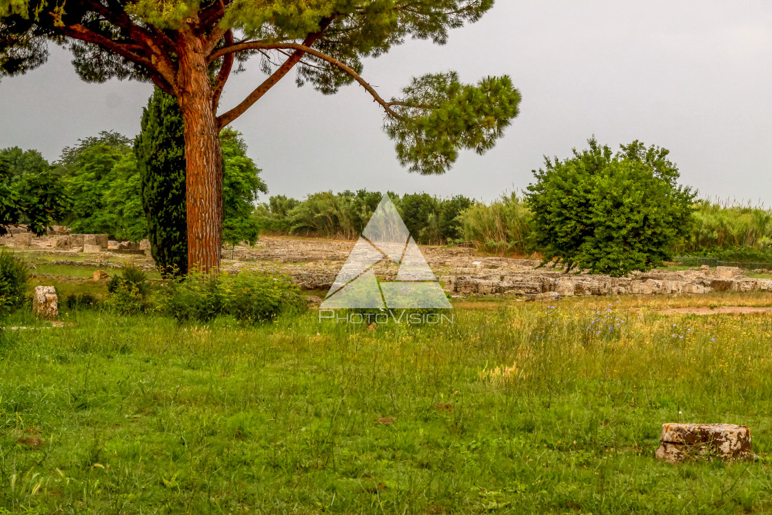 "Ruin of a Greek temple at Paestum Italy" stock image