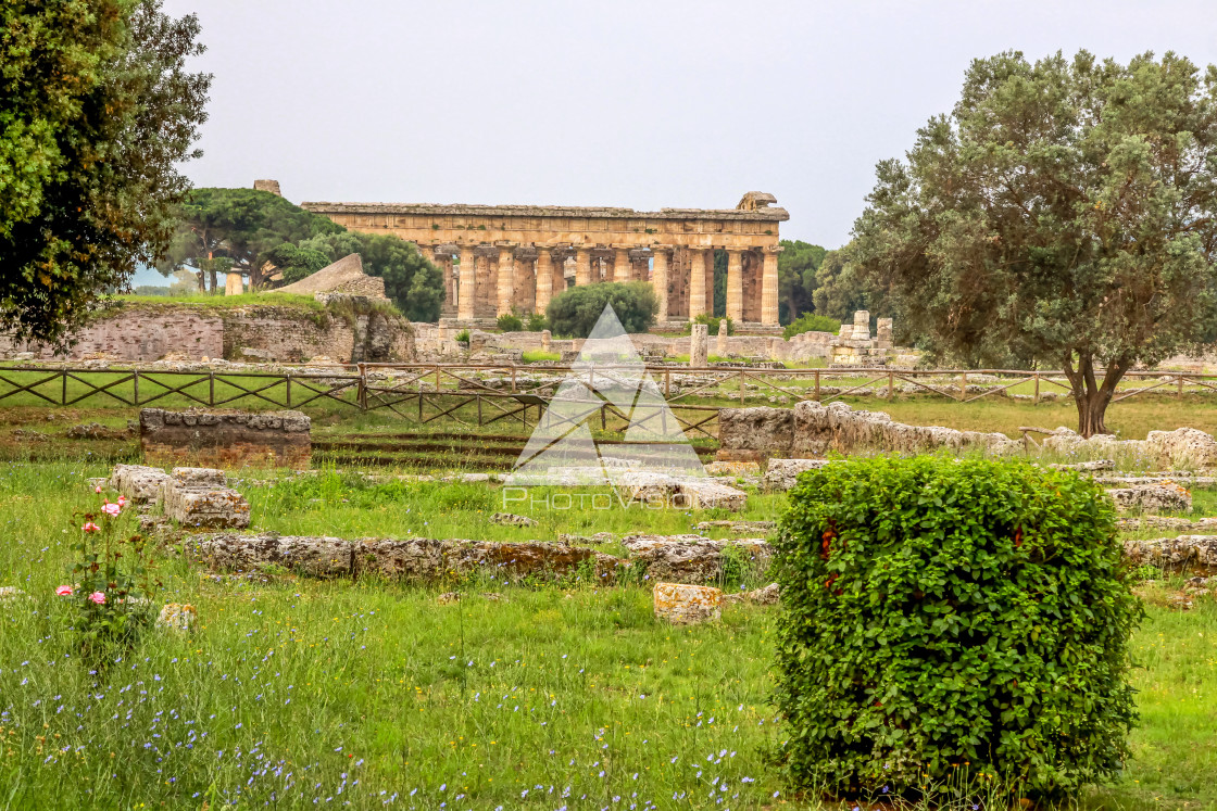 "Ruin of a Greek temple at Paestum Italy" stock image