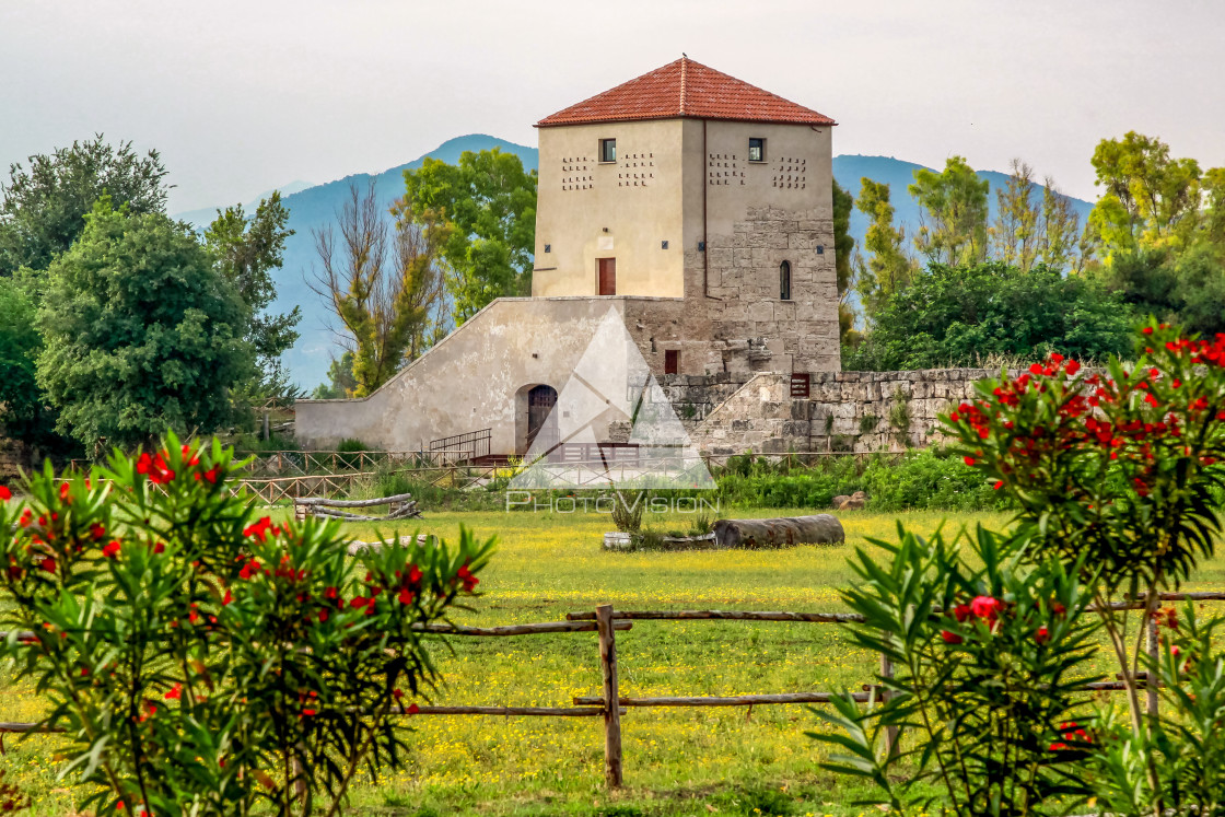 "Ruin of a Greek temple at Paestum Italy" stock image