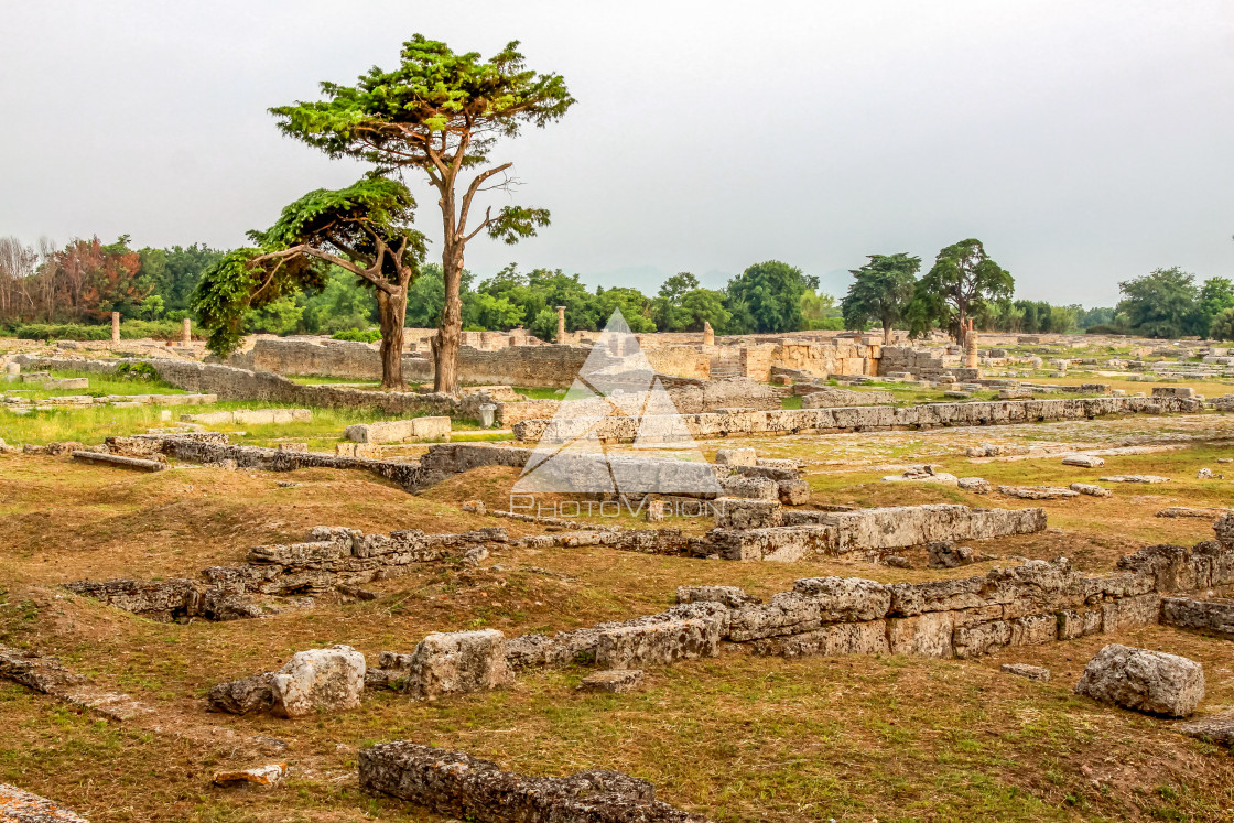 "Ruin of a Greek temple at Paestum Italy" stock image