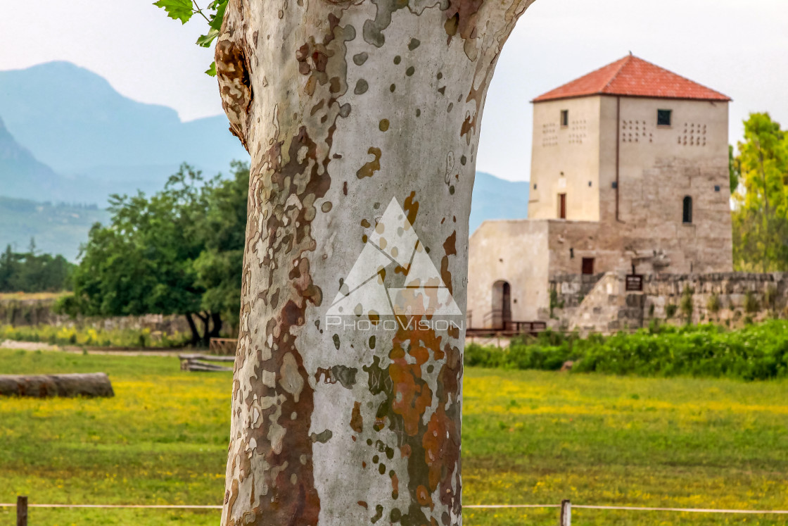 "Ruin of a Greek temple at Paestum Italy" stock image