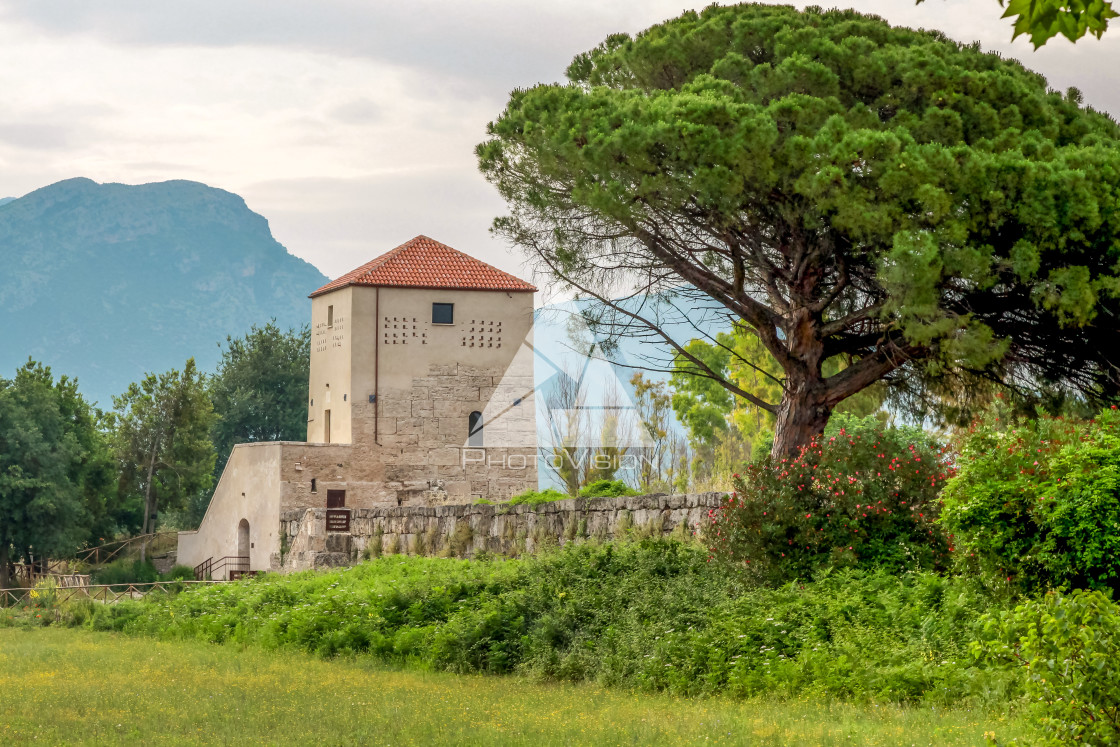 "Ruin of a Greek temple at Paestum Italy" stock image