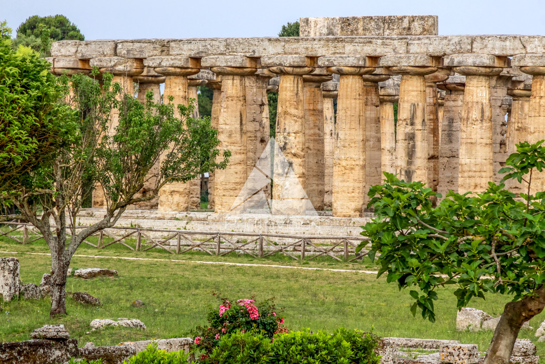 "Ruin of a Greek temple at Paestum Italy" stock image