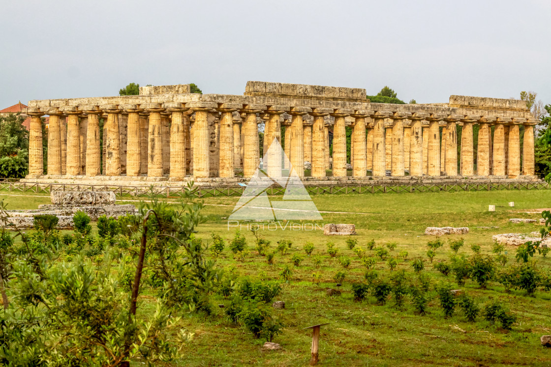 "Ruin of a Greek temple at Paestum Italy" stock image