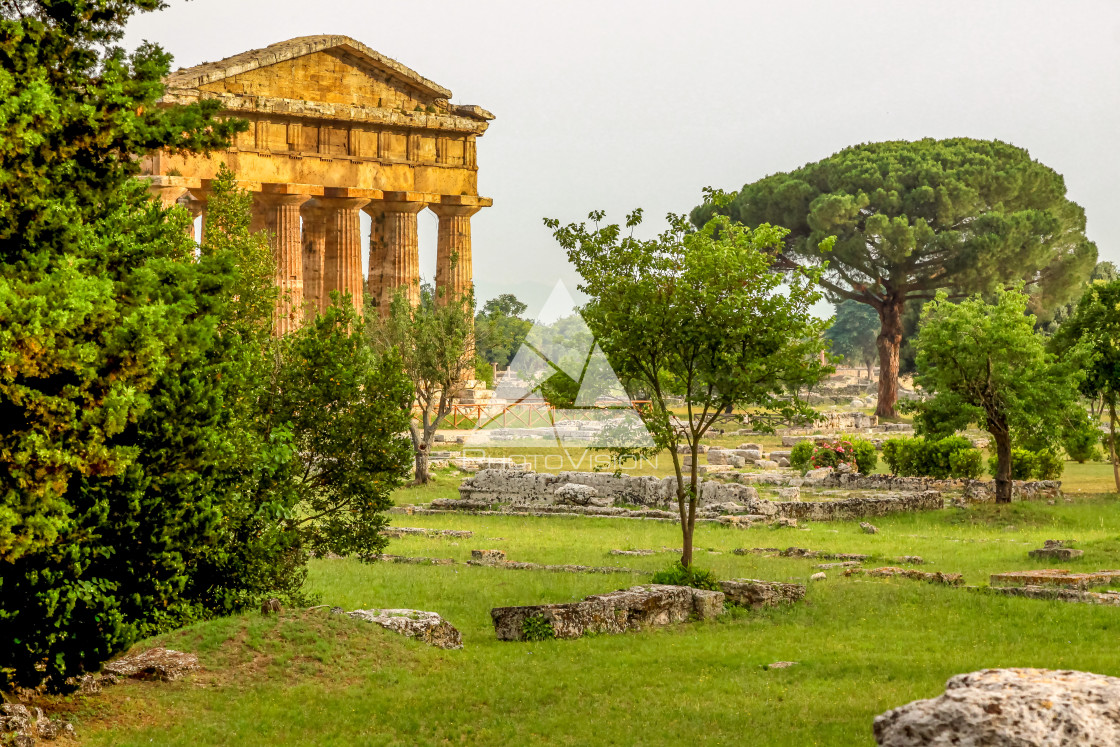 "Ruin of a Greek temple at Paestum Italy" stock image