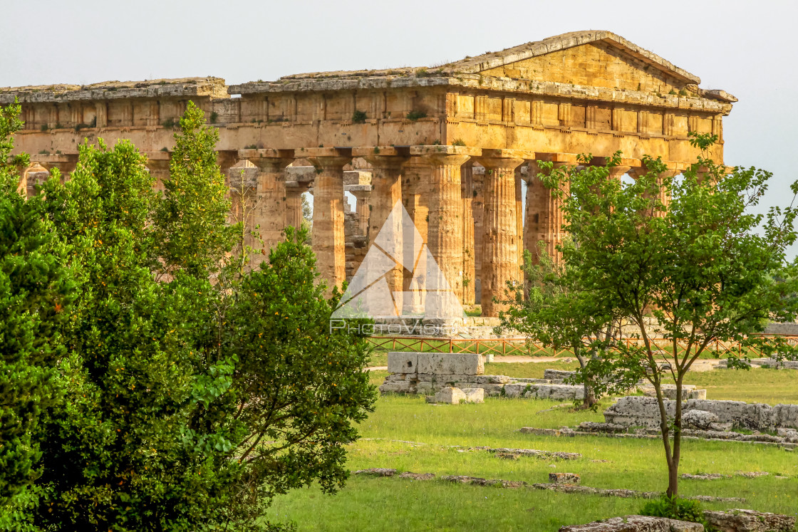 "Ruin of a Greek temple at Paestum Italy" stock image