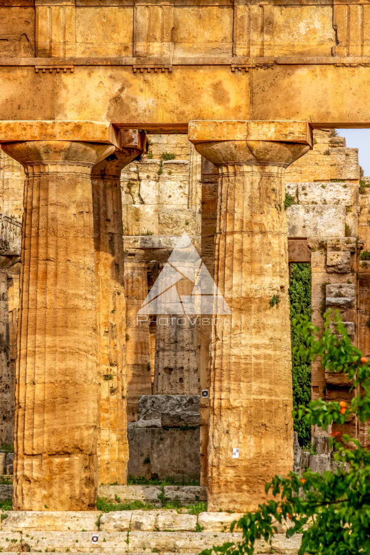 "Ruin of a Greek temple at Paestum Italy" stock image