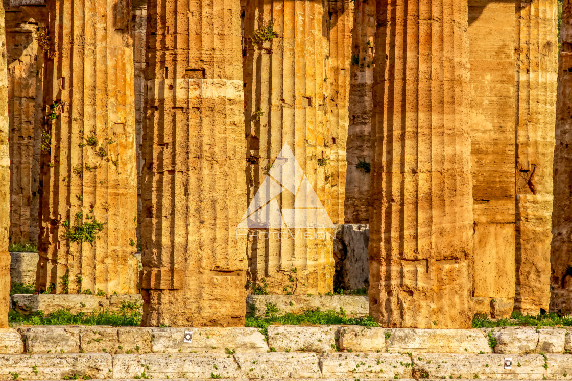 "Ruin of a Greek temple at Paestum Italy" stock image