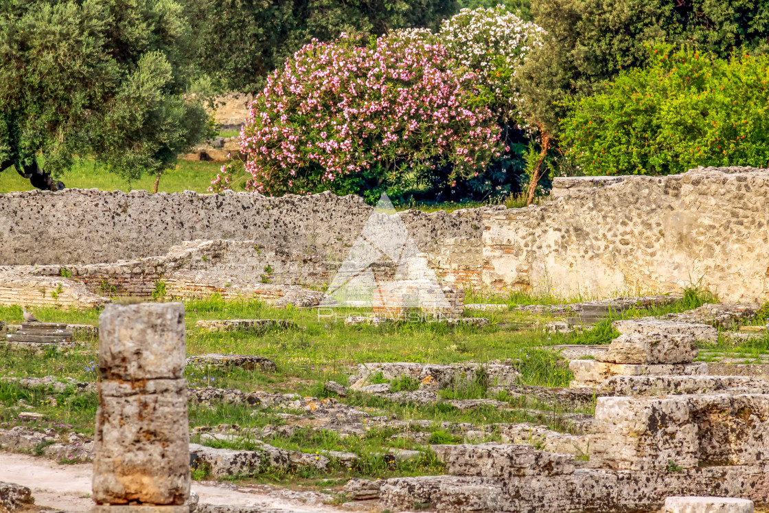 "Ruin of a Greek temple at Paestum Italy" stock image