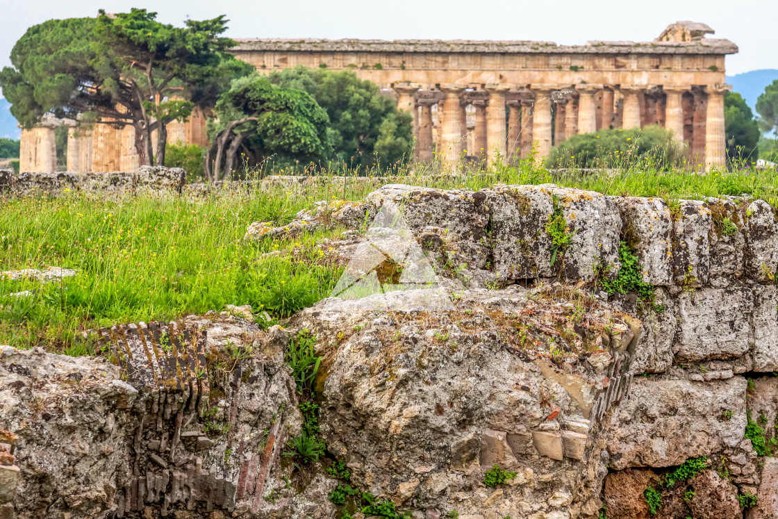 "Ruin of a Greek temple at Paestum Italy" stock image