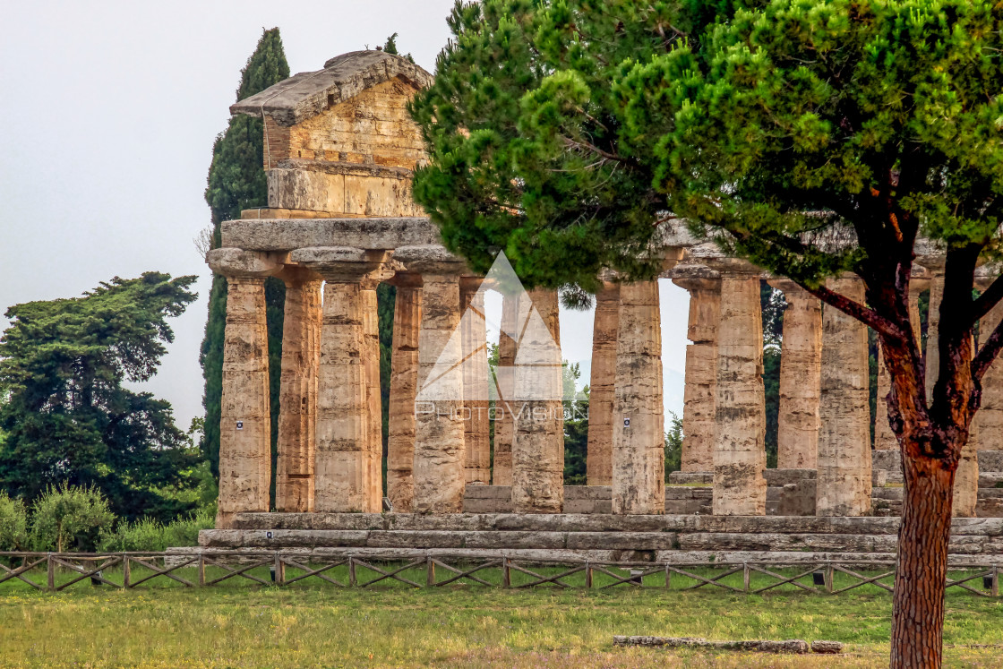 "Ruin of a Greek temple at Paestum Italy" stock image