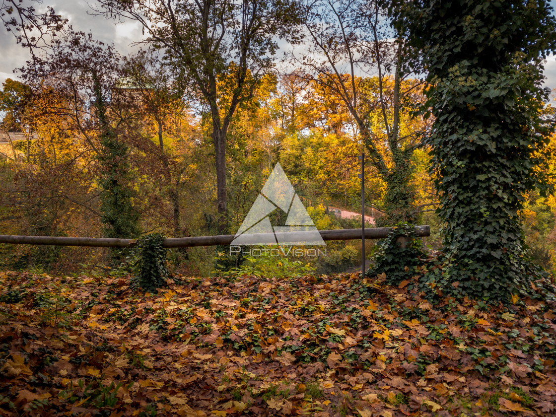 "Autumn under Prague Castle" stock image