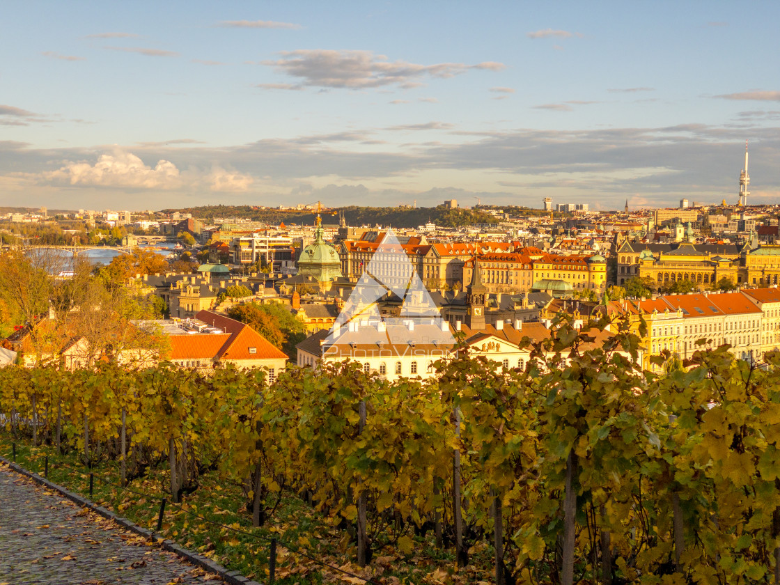 "View of Prague" stock image