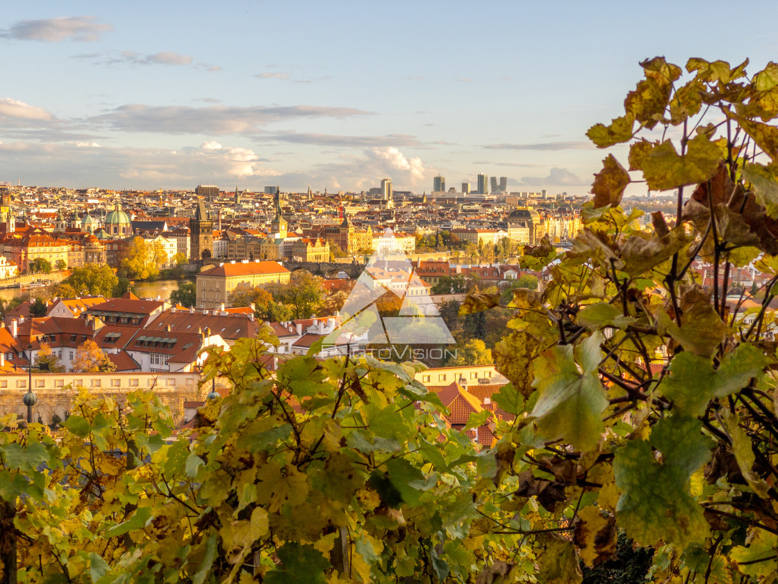 "View of Prague" stock image