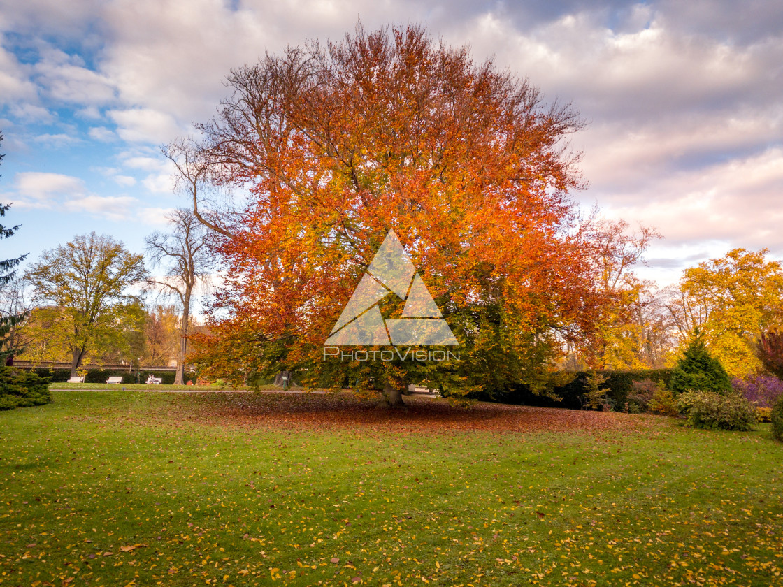 "Autumn gardens of Prague Castle" stock image