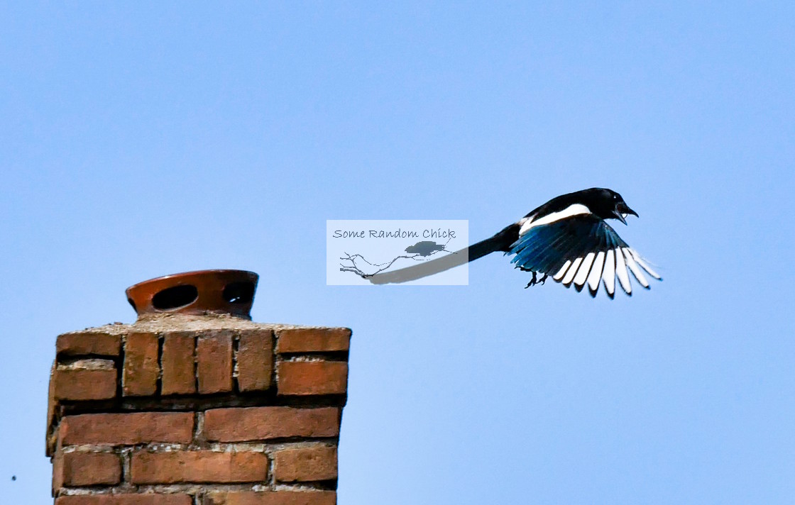 "Go for Launch" stock image