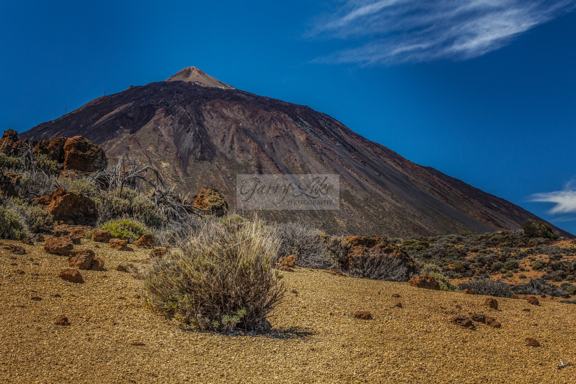 "Mt Teide Tenerife" stock image