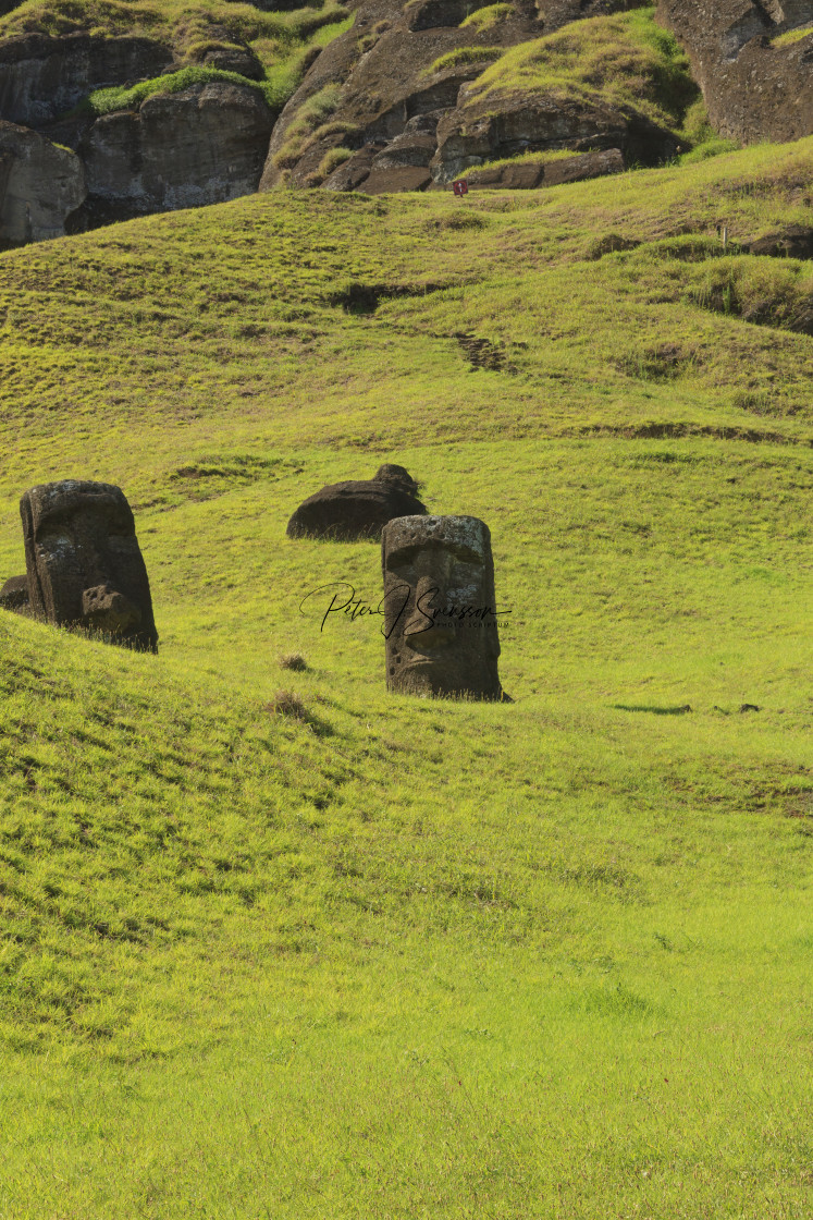 "2680 - Easter Island, almost completely buried moai at Rano Raraku" stock image