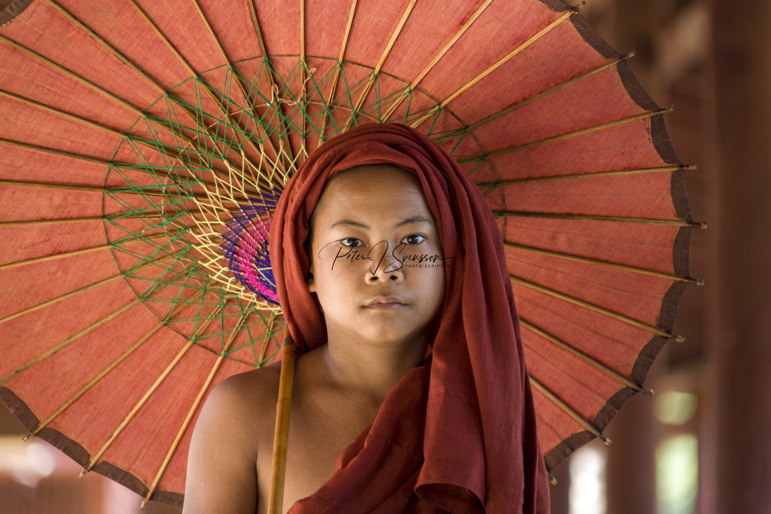 "3617 - Shin-pin-sar-gyo-paya monastery: novice monk win red parasol" stock image