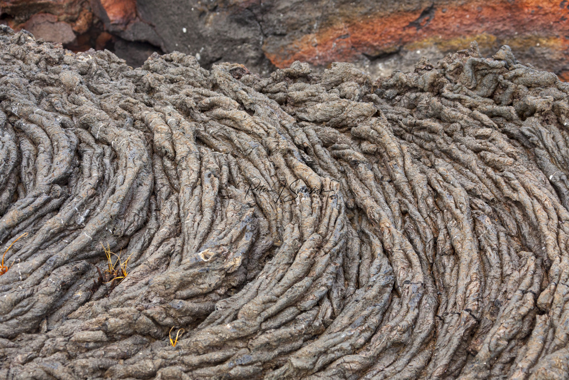 "1096 - Galápagos: Rope Lava" stock image