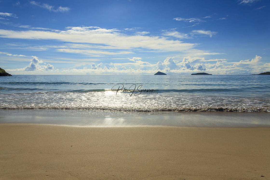 "1213 - Galápagos: this sandy beach is one of the places where Galápagos Green Turtles lay their eggs" stock image