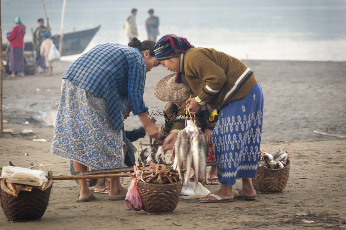 "1029 - Myanmar (Burma), Chindwin River: early morning fish market (2)" stock image