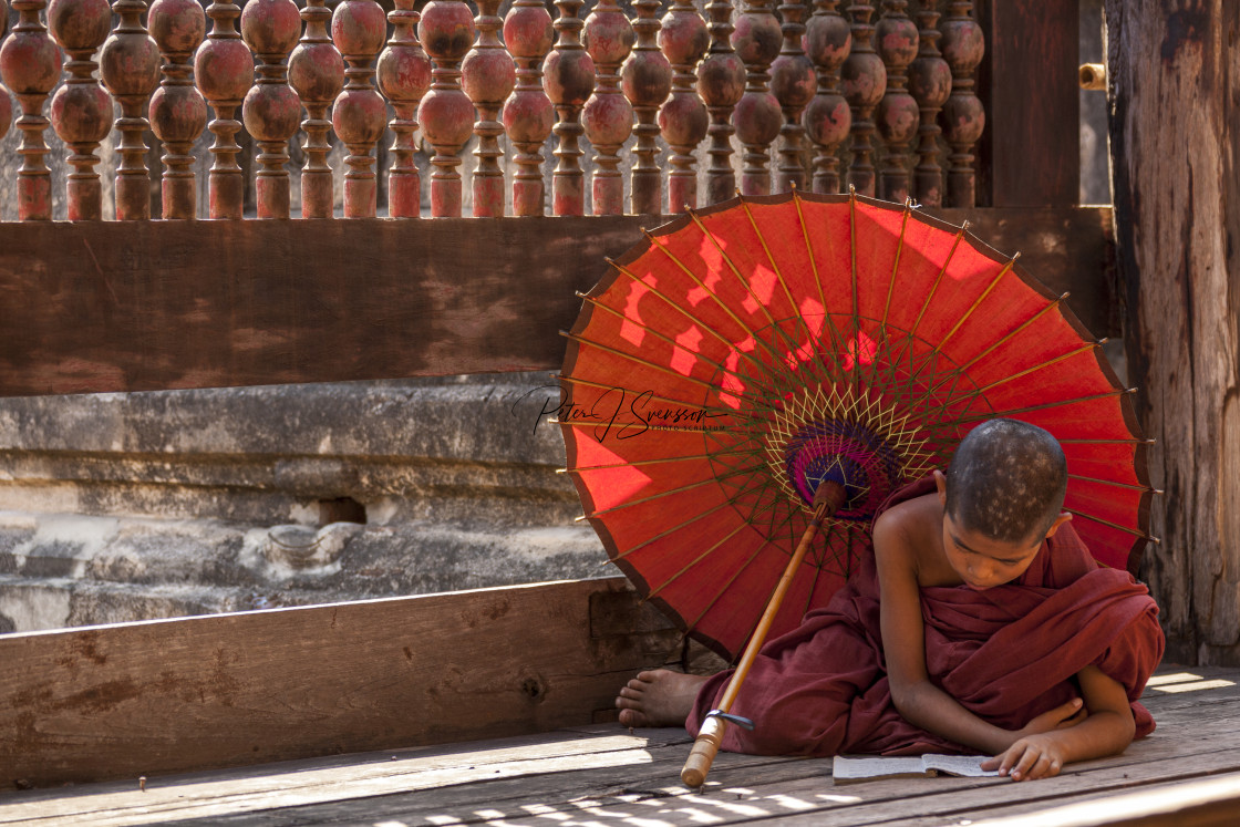 "3669 - Myanmar (Burma), Yoke-Sone monastery: novice monk reading" stock image