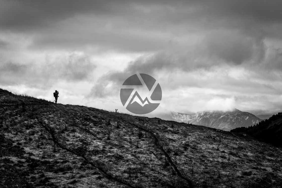 "Chartreuse silhouette" by Clément Garaffa Photography - $24.62 "Chartreuse silhouette" stock image