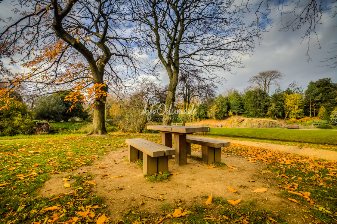 "Victoria Park Bench" stock image