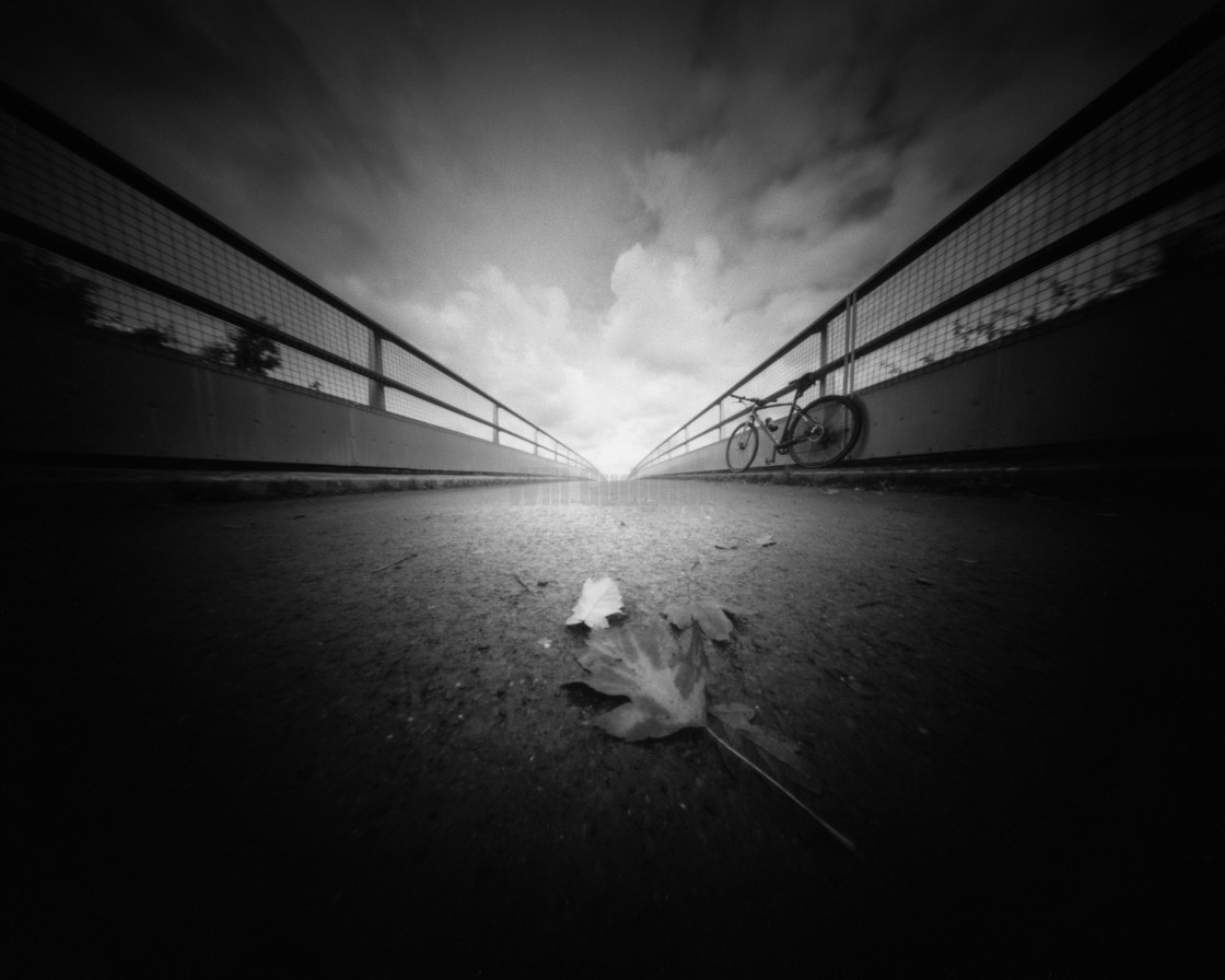 "Leaves on the bridge" stock image