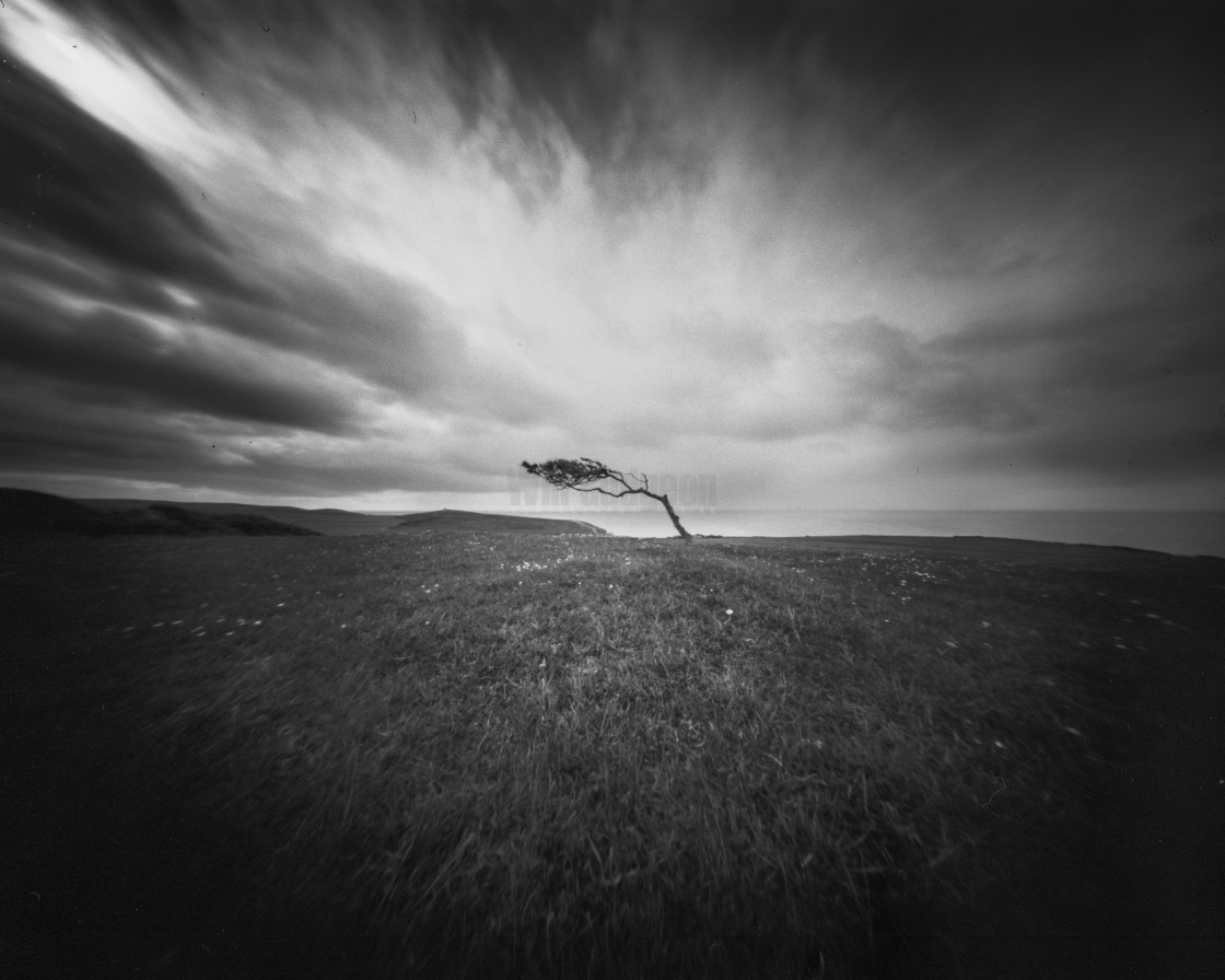 "Isolated - pinhole photo" stock image