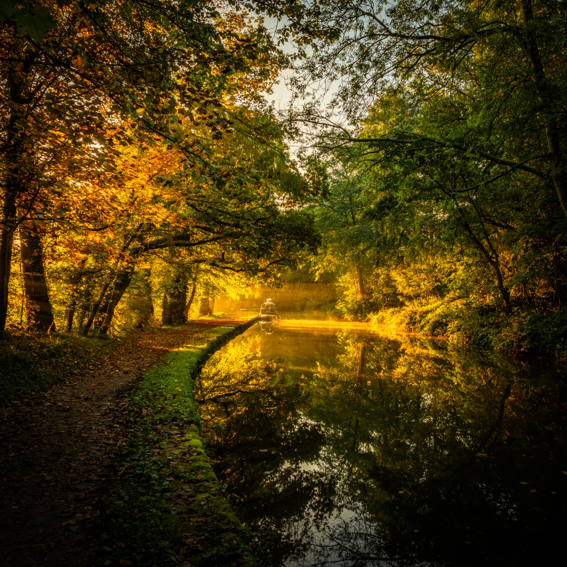 "Autumnal canal scene" stock image