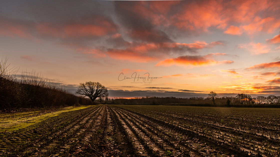 "Arable dawn" stock image