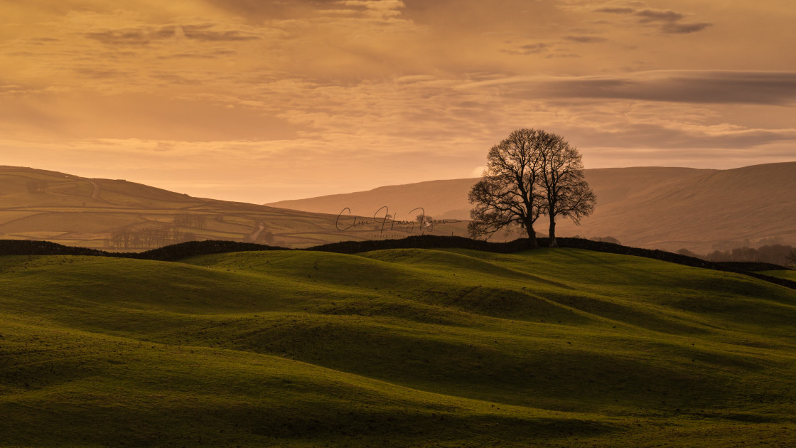 "Contours of Yorkshire" stock image