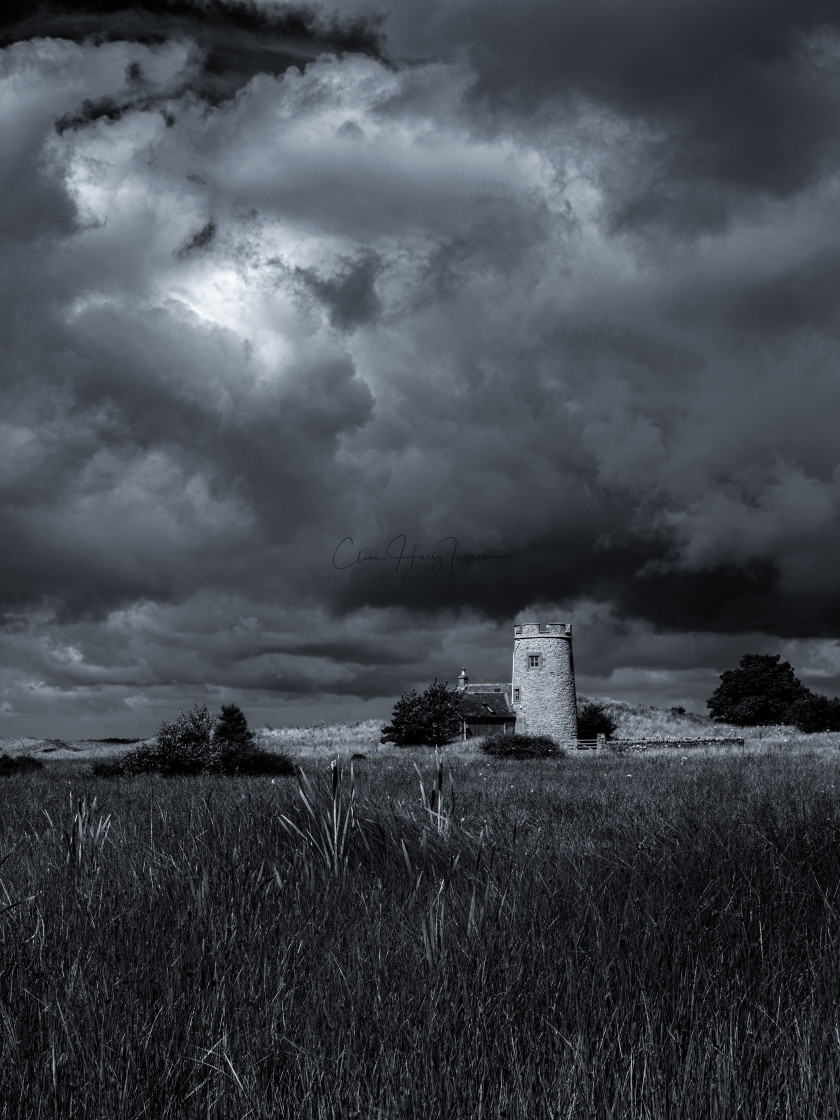 "Standing strong before the storm" stock image