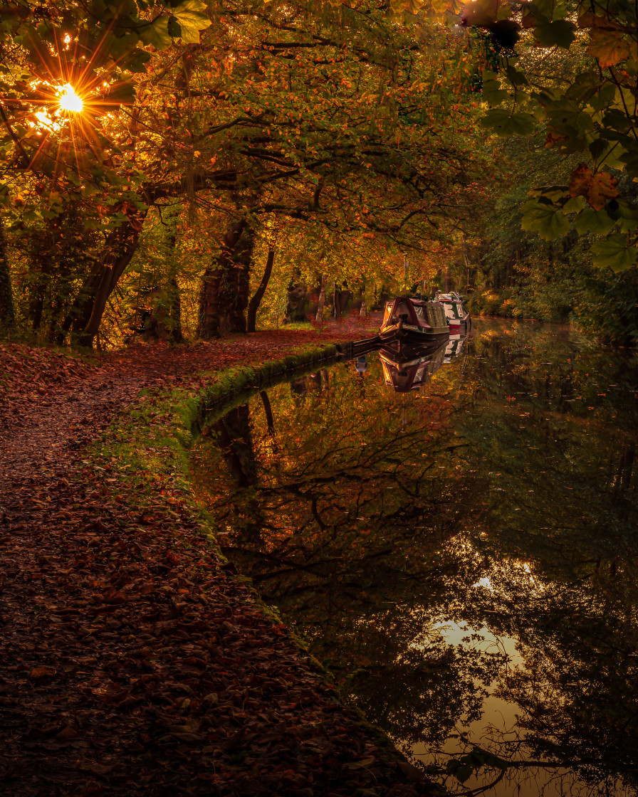 "Autumn canal scene" stock image