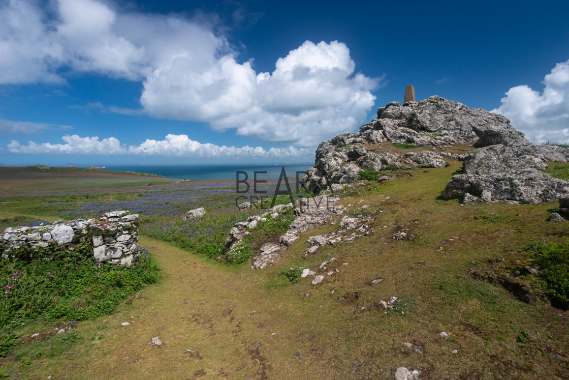 "Skomer Island rocky landscape" stock image