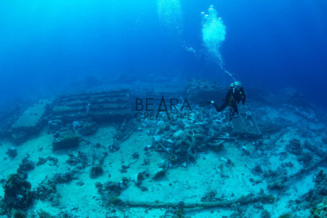 "Diver by Yolanda toilet wreck" stock image