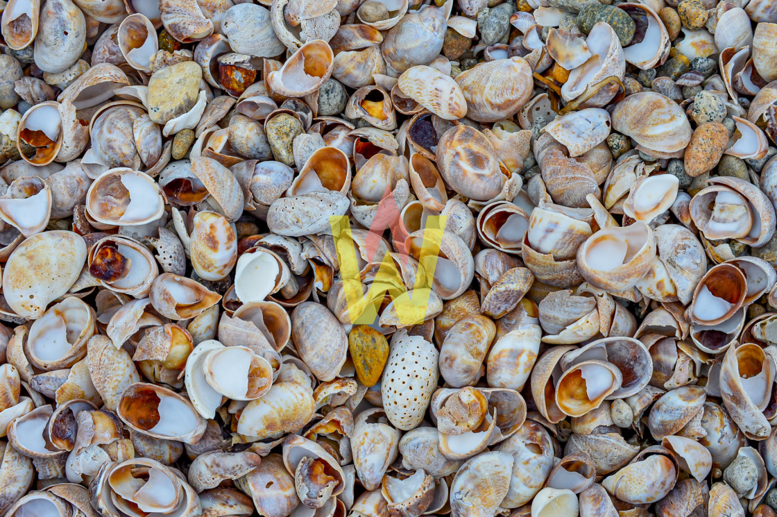 "By The Ocean" stock image