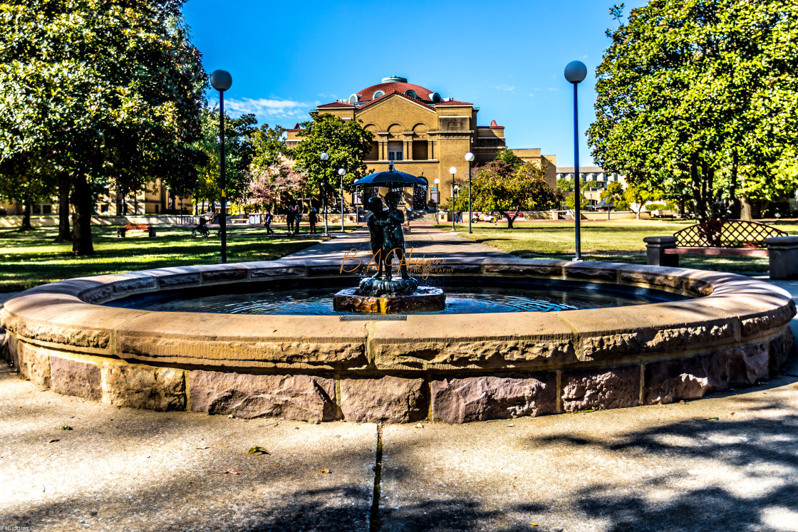 "Southern Illinois University Quad" stock image