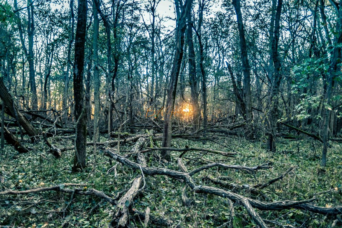 "Sunset at Wildlife Refuge" stock image