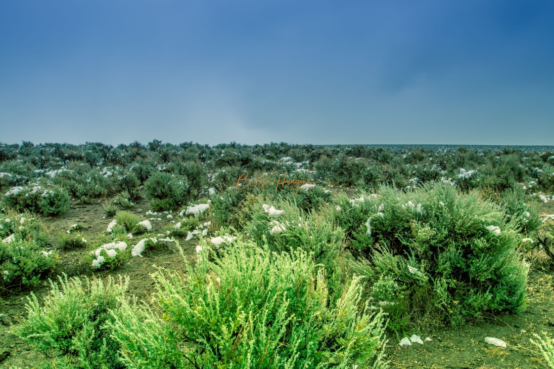 "Snow in June Nevada" stock image