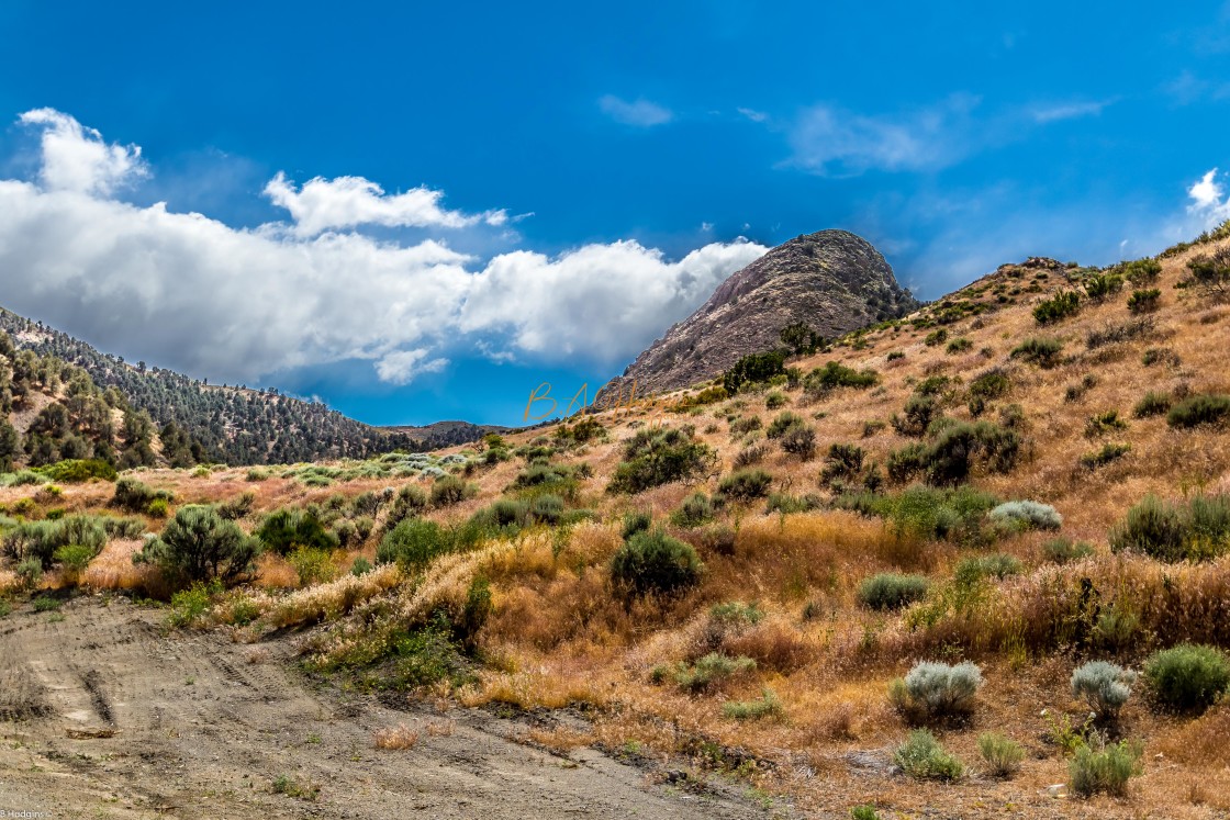 "Route 50 Nevada" stock image