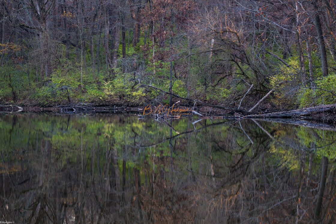 "Very Late Summer at the Lake" stock image