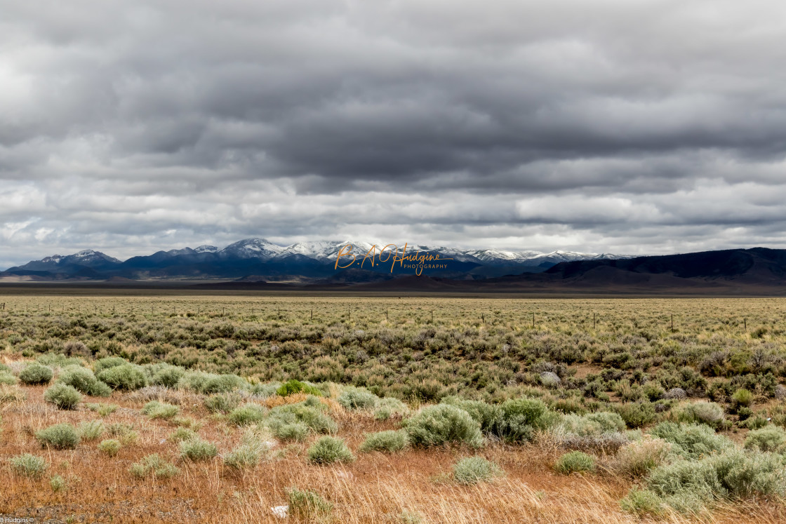 "Roadside View from Route 50 Nevada" stock image