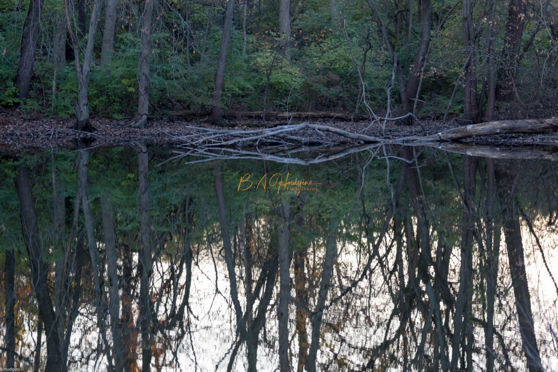 "Late Summer Reflections" stock image